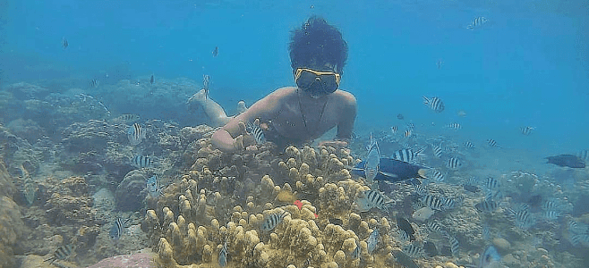 Spot Snorkeling Pulau Pari