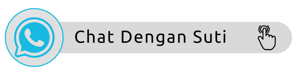 Chat WhatsApp Dino Holiday