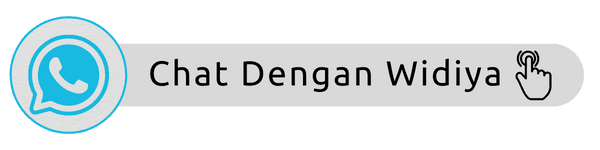 Chat WhatsApp Dino Holiday