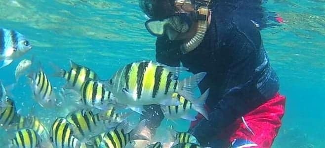 Spot Snorkeling Wisata Pulau Pari Kepulauan Seribu