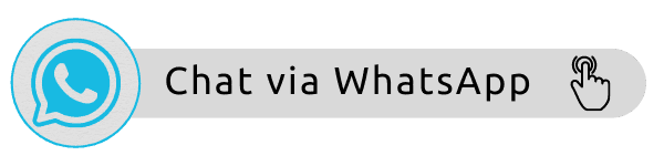 Chat via WhatsApp Dino Holiday